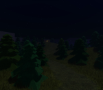The Forest Explorers