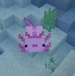 toaster :3