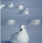 y님 들어와요