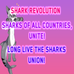 Shark Revolution!