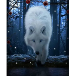 Team Twilight Vampire and wolf