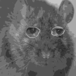 sludge rat incorporated