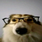 KaneParsons