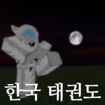 한국 국제 태권도