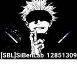 SiBenLab [SBL]
