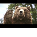 BEAR LEGEND MASTERS