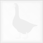 White Goose Games