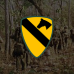 1st Cavalry Divisіon 1960 s