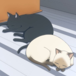 NappingCat