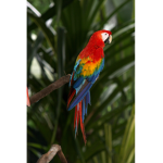 Macaws