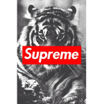 The Supreme Clothing People
