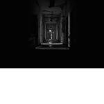 The Business Community
