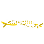 Linguine RoSport