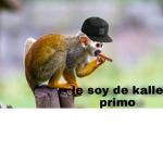 TeamMacac0