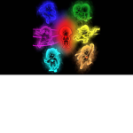 The souls of UNDERTALE