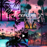 ~Freedom!~