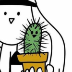 선인장 나라