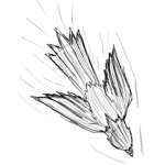 + Bird Empire +
