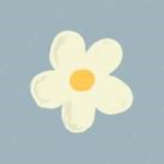 My little daisy’s <3