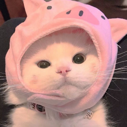 ⭐ Ciudad para Gatitos y Personitas ^^ ⭐