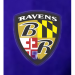 Nfl Roblox Zone