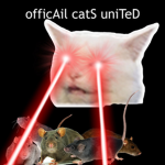 officAil catS uniTeD