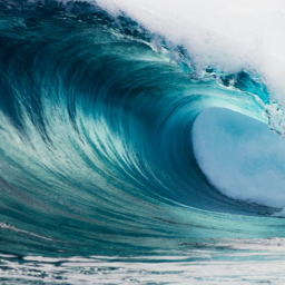 Wave Fighing Game