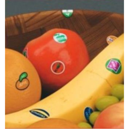 { • 🍎 • }