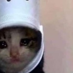 Sad cat gamig