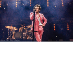 harry style fans