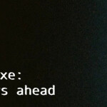 ⋆ ˚｡⋆୨୧˚ ⋆ ˚｡⋆