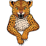 Leopard Clothing.co