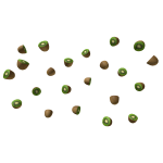 Kiwi particles