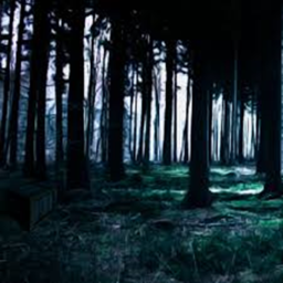 The Forest... (Beta)