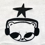 Icon's Promise