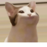 92822929