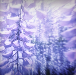 ❀