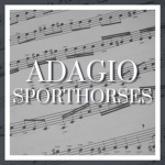 Adagio Sporthorses