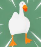 Blind Honk Studios