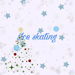 Ice skating (only opened till first febuary)