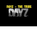 Dayz_professionals