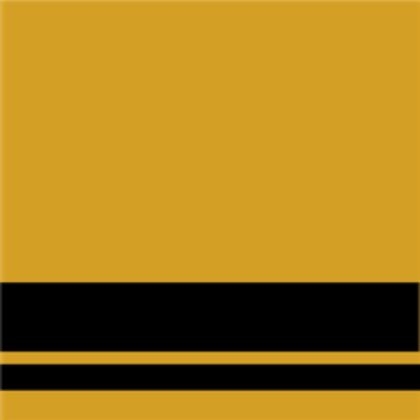 Hoodie Yellow Seleve Roblox decal