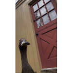 TheColdKidsBrandon