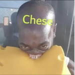 Cheesy cheesy boy