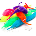 Worm Cult !