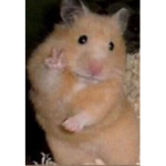 hi there are u sad or happy?