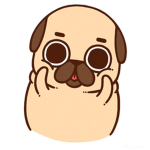 Pug Peoples!