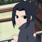 Shinobi Exotic