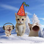 $ The Gato Gang $