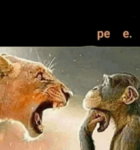 Le Heehee Army
